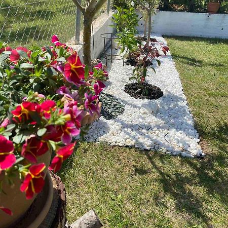 Golden House Apartment Alexandroupoli Exterior foto