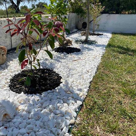 Golden House Apartment Alexandroupoli Exterior foto