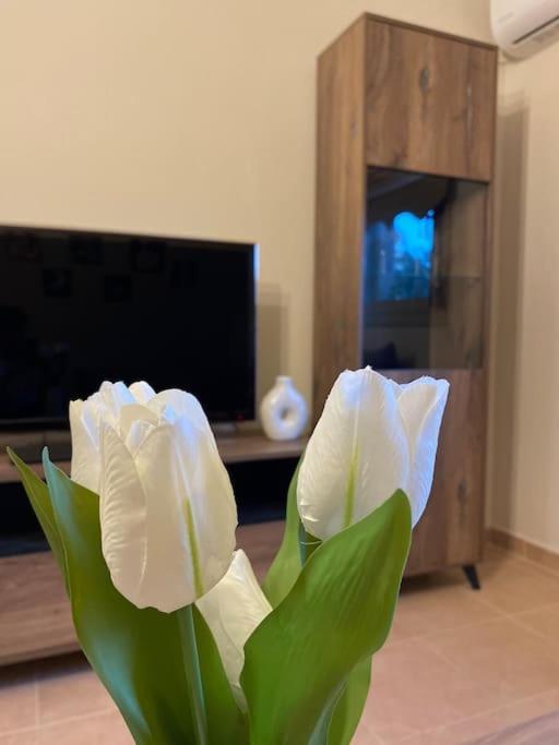 Golden House Apartment Alexandroupoli Exterior foto