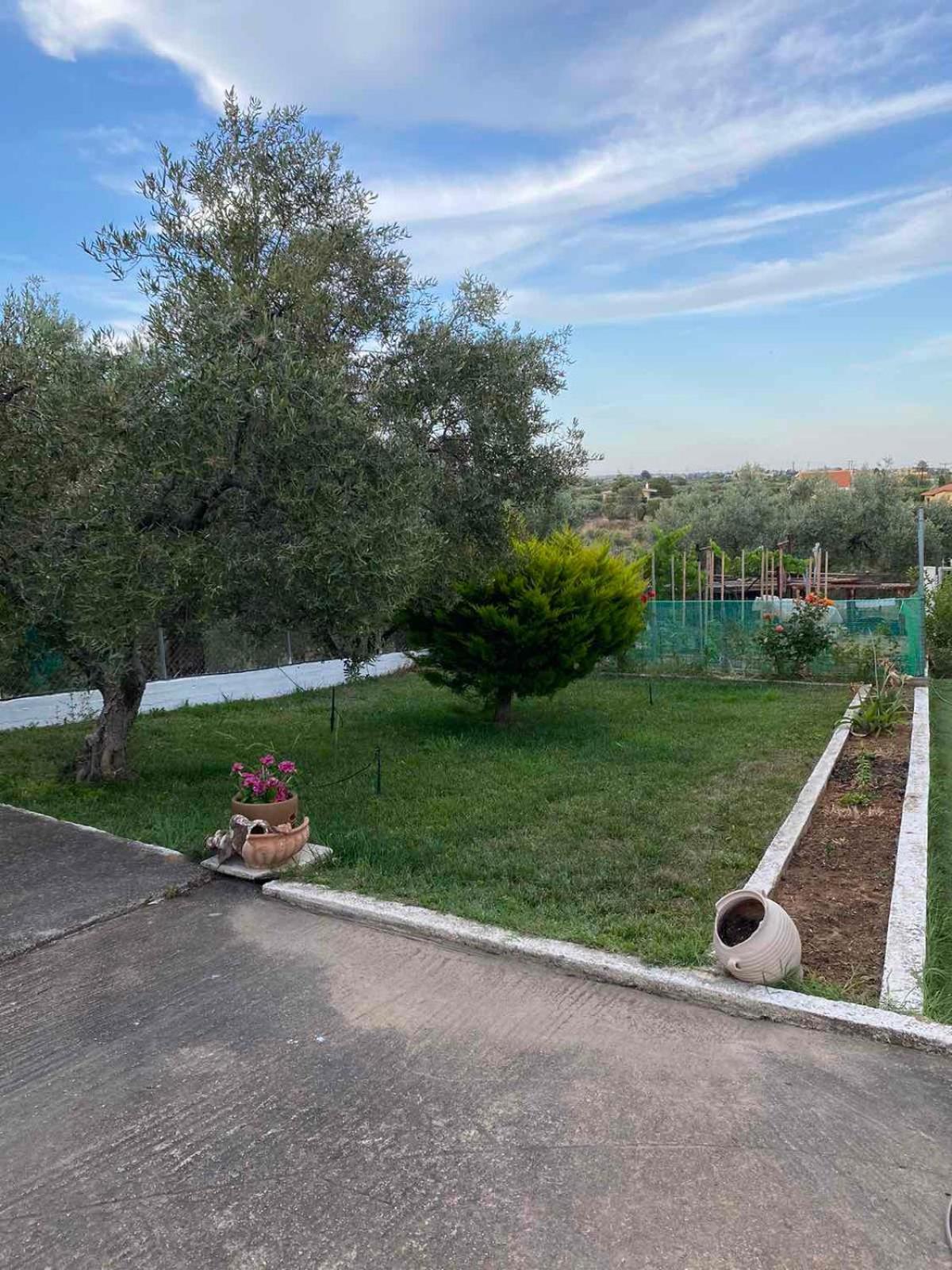 Golden House Apartment Alexandroupoli Exterior foto