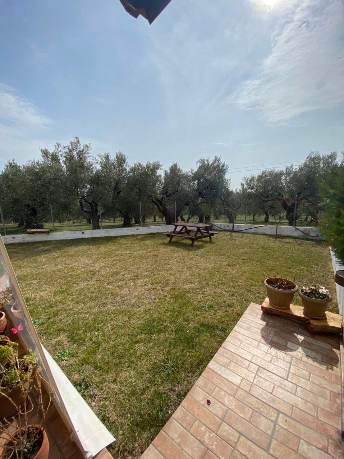 Golden House Apartment Alexandroupoli Exterior foto