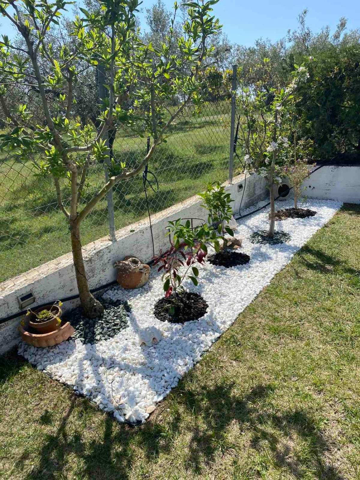 Golden House Apartment Alexandroupoli Exterior foto